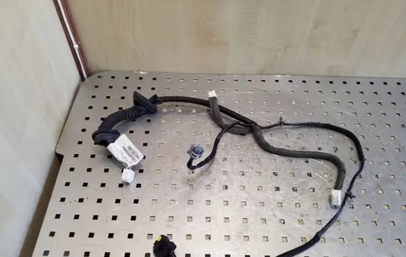 Rear door wiring loom