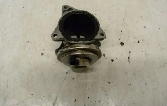Skoda Octavia Mk2 (1Z) EGR valve 038131501AN