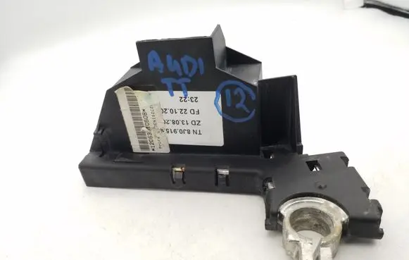 Audi Q5 SQ5 Positive cable (battery) 8J0915459