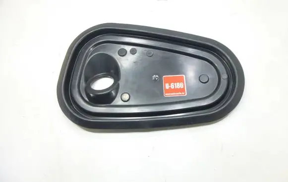 Other front door trim element