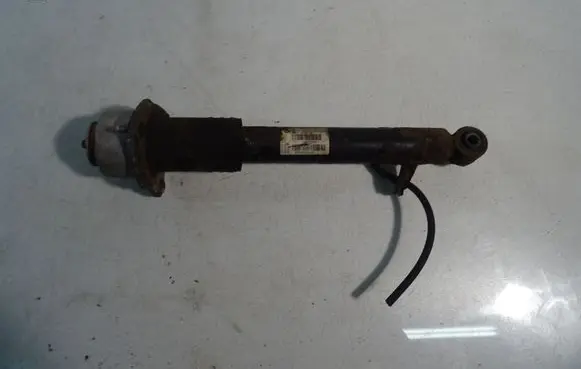 BMW X5 E70 Rear shock absorber/damper 6781924