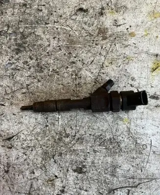 Renault Laguna II Fuel injector 0445110021