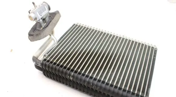Mercedes-Benz S W220 Air conditioning (A/C) radiator (interior) A2208301168