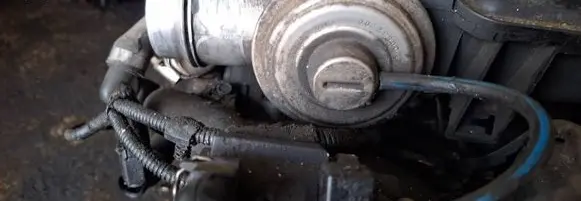 EGR valve