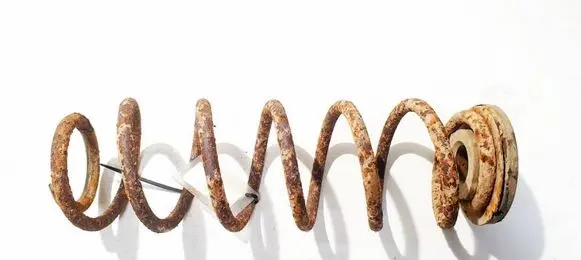 Rear coil spring