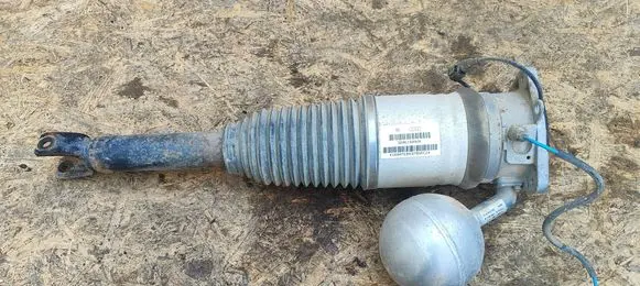Volkswagen Phaeton Shock absorber/damper/air suspension 3D0616002K 169ATE04379DEC2