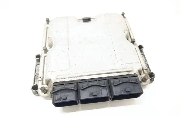 Renault Espace III Engine control unit/module 8200239684 1039S0057 0281001999