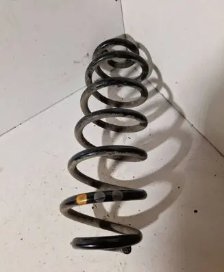 Rear coil spring