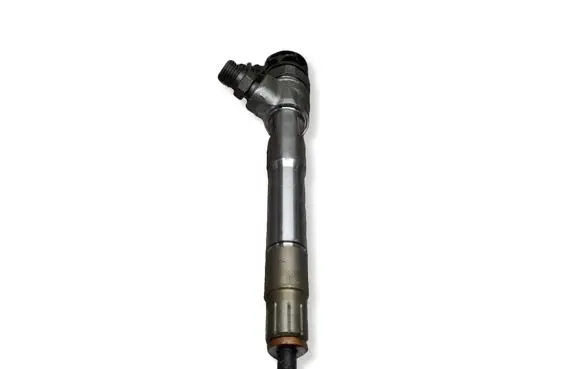 Renault Trafic III (X82) Fuel injector S27624888 0445110939