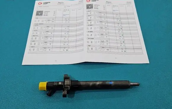 Citroen C5 Fuel injector EJBR06001D IMPRK1429866