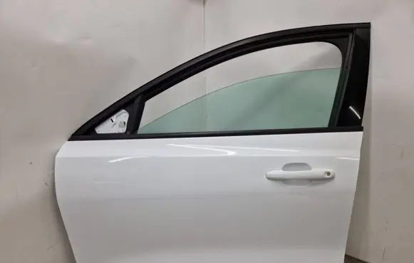 Ford Focus Front door