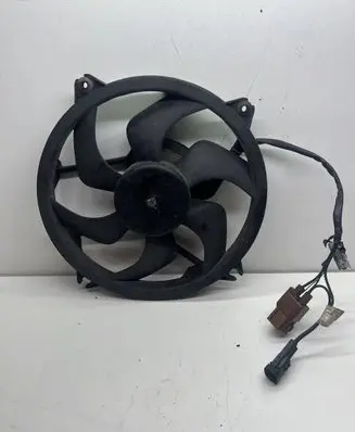 Citroen C5 Electric radiator cooling fan 1831504016