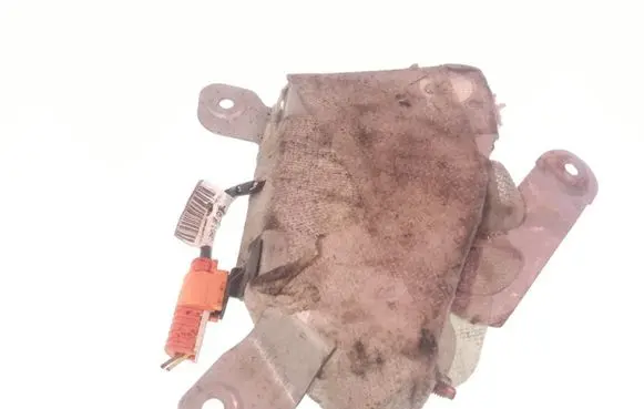 Front door airbag
