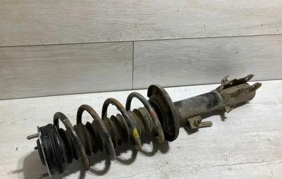 Ford Ecosport Front shock absorber with coil spring dn1c18045be