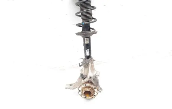 Cupra Born Front wheel hub spindle knuckle 1EA412013DH 1EA407257H