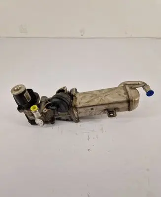 Volkswagen Golf VI EGR valve 0280751016