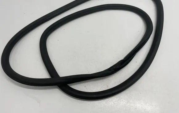 Opel Insignia B Front door rubber seal