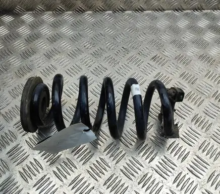 Cupra Born Rear coil spring 1EA511103Q