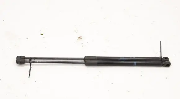 Tailgate strut