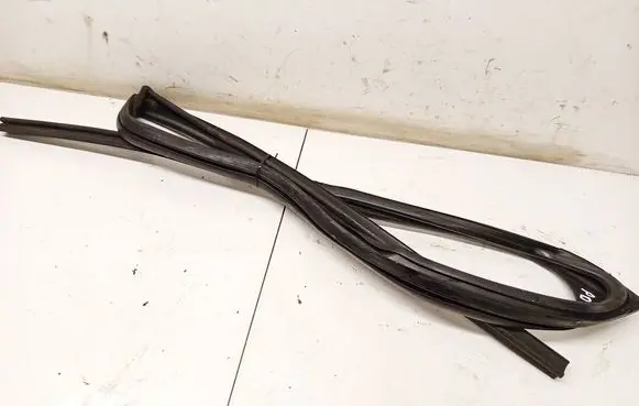 Dacia Sandero Rubber seal front coupe door 803308958R