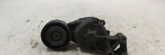 Seat Alhambra (Mk1) Generator/alternator belt tensioner 408000