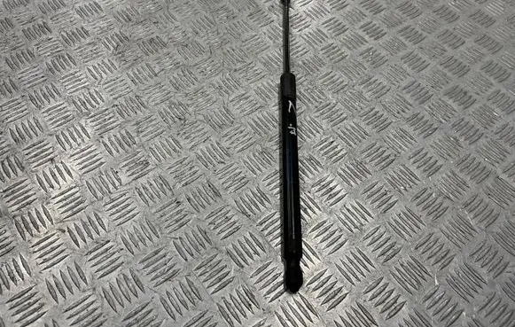 Opel Zafira C Tailgate/trunk strut/damper 39040587