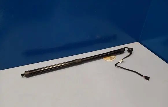 Tailgate/trunk strut/damper