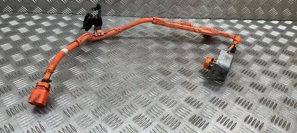 Lexus UX Other wiring loom 821H270010 299775W