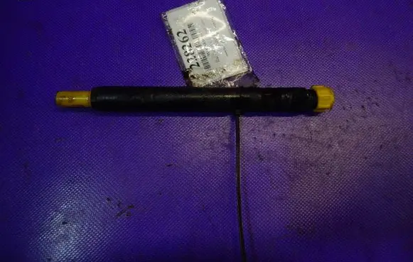 KIA Carnival Fuel injector