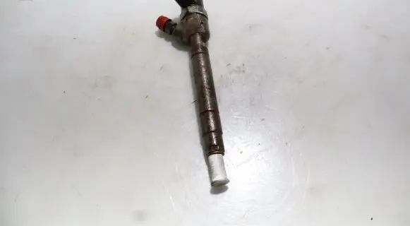 Jeep Grand Cherokee (WJ) Fuel injector 0445110204