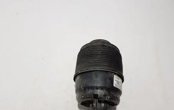 Mercedes-Benz GLS X167 Rear air suspension bag/shock absorber A1673200025
