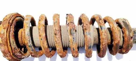 Honda Accord Front coil spring 