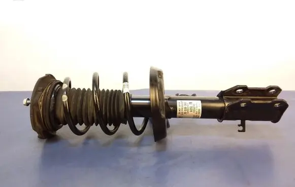 Opel Astra K Front shock absorber with coil spring 39039563