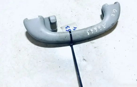 Ford Focus Rear interior roof grab handle