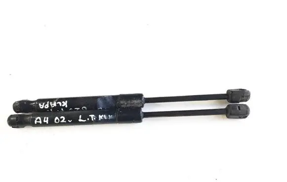 Tailgate strut