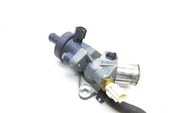 Thermostat/thermostat housing