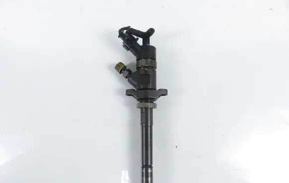 Citroen C4 I Fuel injector 0445110281