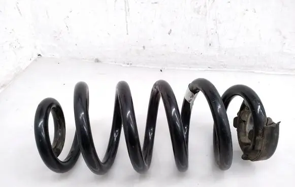 Volkswagen ID.3 Rear coil spring 1EA511103E