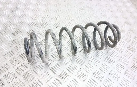 Volkswagen PASSAT B6 Rear coil spring
