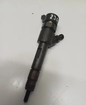 Suzuki Grand Vitara II Fuel injector 0445110230