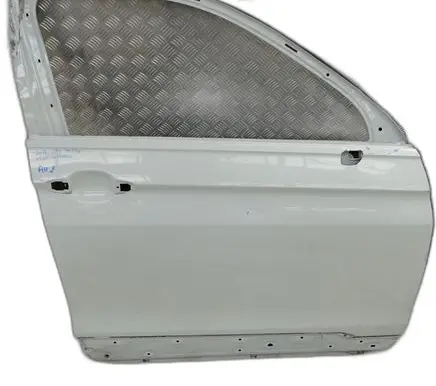 Volkswagen Tiguan Front door 