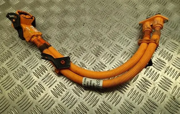 Other wiring loom