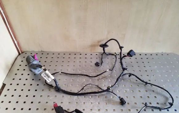 Front door wiring loom