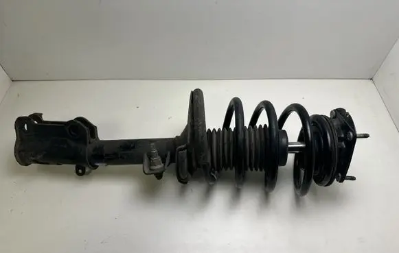 Ford Mustang V Front shock absorber with coil spring BR3318045AE