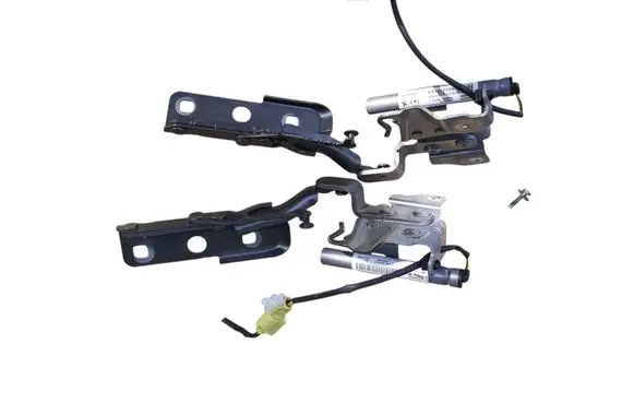 Citroen C5 X Engine bonnet/hood hinges 9830981380 655121400B