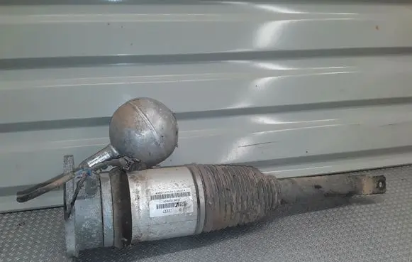Volkswagen Phaeton Shock absorber/damper/air suspension 3D0616002K