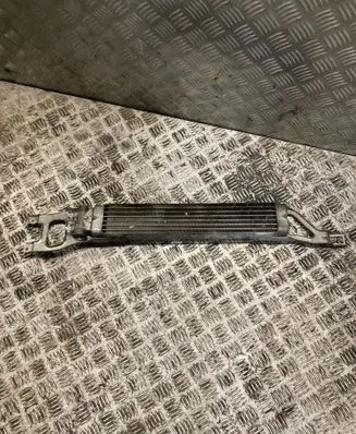 Mercedes-Benz A W169 Power steering radiator A1695000200 1695000200