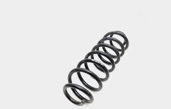 Volkswagen PASSAT B7 USA Rear coil spring