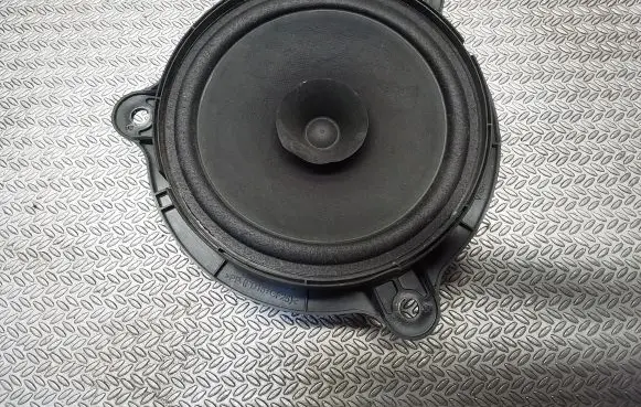 Renault Trafic III (X82) Front door speaker 281563SG0A