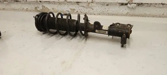 MG ZS Front shock absorber with coil spring 11295209